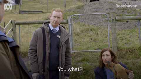 You What Rosehaven Scene GIF