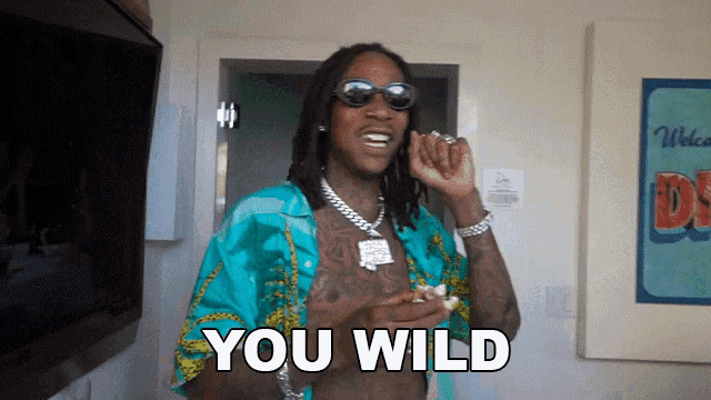 You Wild Wiz Khalifa Gif GIF