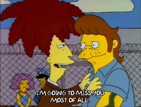 You Will Be Missed Sideshow Bob Snake Jailbird GIF