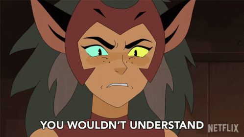You Wouldn't Get It Catra GIF