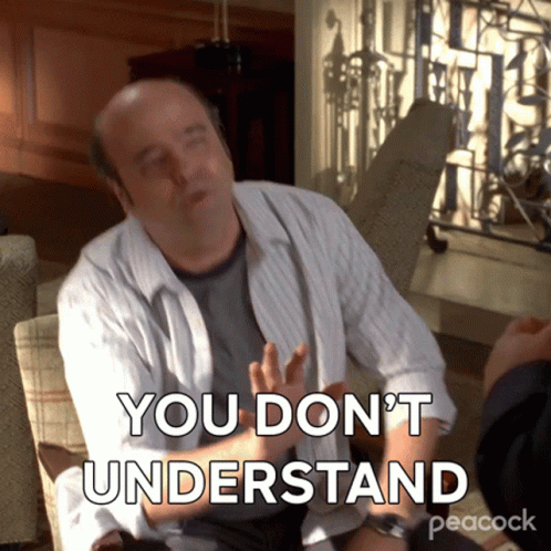 You Wouldn't Get It Understand GIF