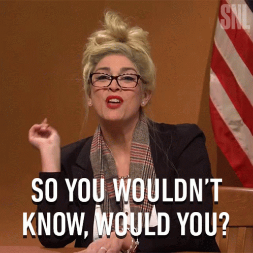 Melissa Carone You Wouldn't Get It GIF