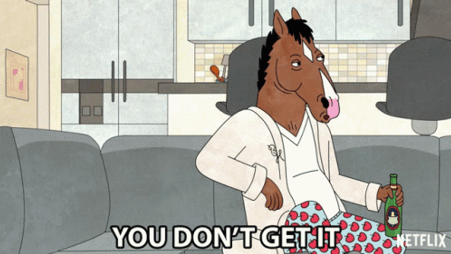 You Wouldn't Get It  Bojack Horseman GIF