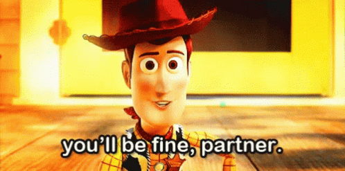 Youll Be Fine Partner Woody GIF