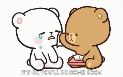 Youll Be Fine Two Bears Crying GIF