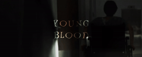 Young Blood in Gold Letters on Dark Background