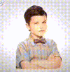 Young Boy Crossed Arms Plaid Shirt Bow Tie