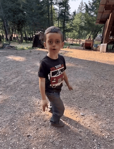 Young Boy in Black Shirt Fire Truck