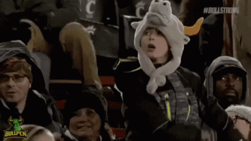 Young Boy in Bull Hat Sitting in Crowd Watching Game