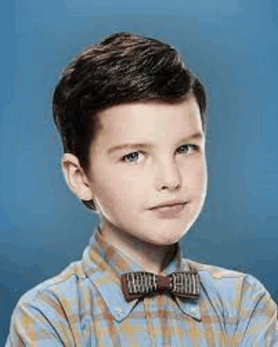 Young Boy in Plaid Shirt and Bow Tie