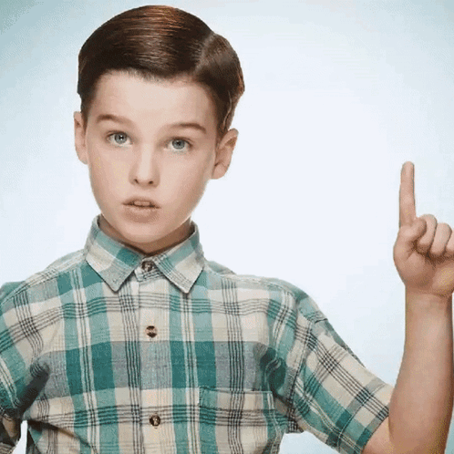 Young Boy in Plaid Shirt Pointing Up