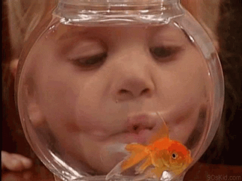 Young Boy Kissing A Bowl Of Goldfish GIF