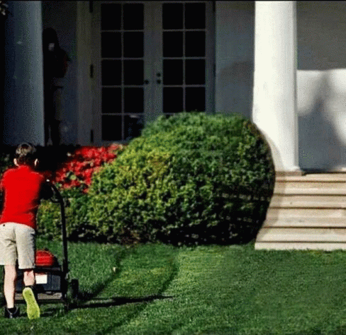 Young Boy Pushing Lawn Mower on Green Lawn