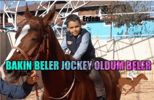 Young Boy Riding Brown Horse GIF