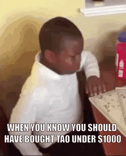 Young Boy Sign When You Know You Should Have Bought Tao Under 1000