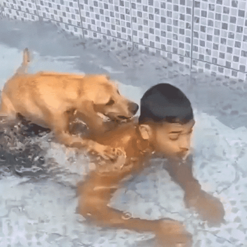 Young Boy Swimming in Pool With Dog