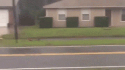 Young Boy Walking With American Flag In Rain GIF