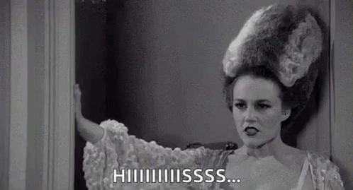 Young Frankenstein Madeline Kahn Hiiiiiissss GIF