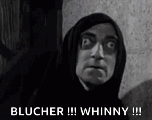 Young Frankenstein Marty Feldman Blucher Whinny GIF