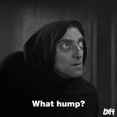 Young Frankenstein Marty Feldman What Hump GIF
