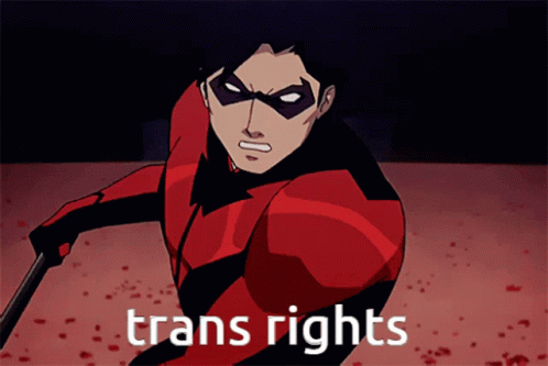 Young Justice Nightwing Attacking GIF