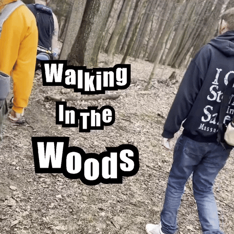 Young Kids Go Hiking In Woods GIF