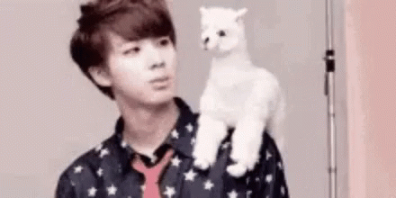 Young Man Holding White Llama