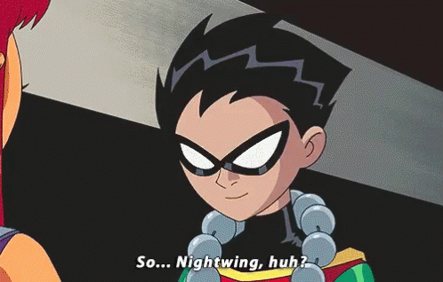 Young Nightwing Robin Teen Titans GIF