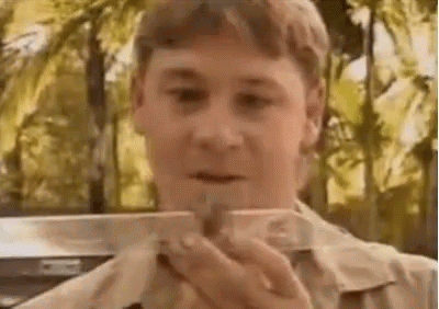 Young Steve Irwin Holding Tarantula GIF