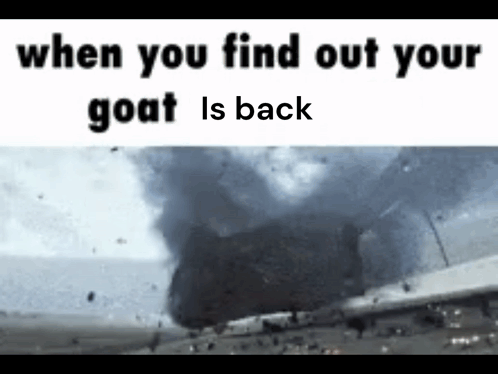 Your Goat Is Back Tornado Meme