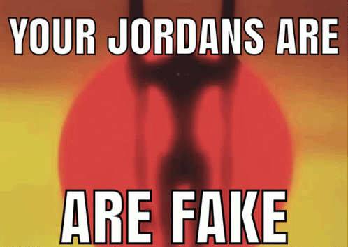 Your Jordan Are Fake GIF
