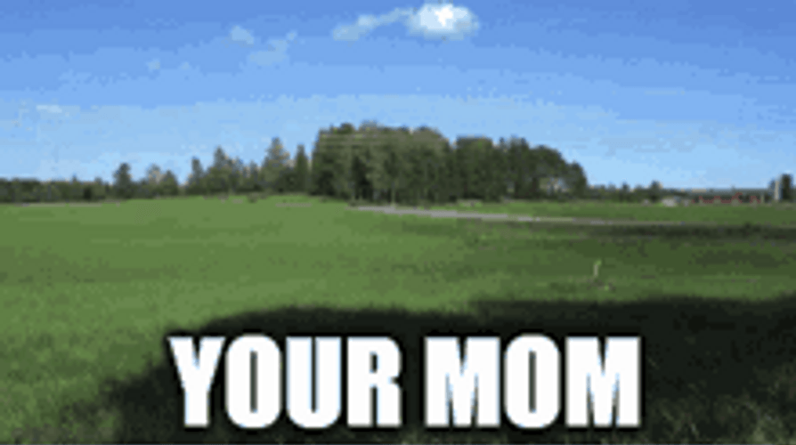 Your Mom Fast Car Driving Meme GIF