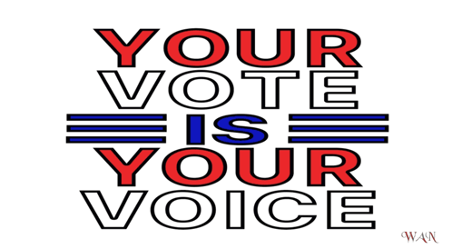 Your Vote Is Your Voice Poster