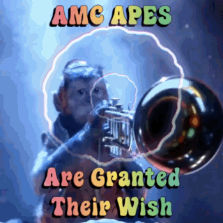 Your Wish Is My Command Amc Aped GIF
