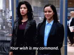 Your Wish Is My Command Amy And Rosa GIF