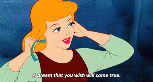 Your Wish Is My Command Cinderella GIF