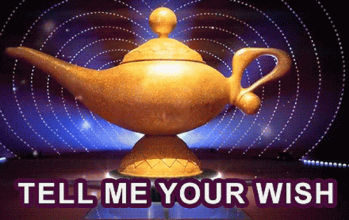 Your Wish Is My Command Snsd GIF