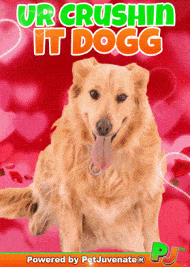 Youre Crushing It Slay Gif GIF