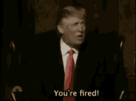Youre Fried Donald Trump Gif GIF