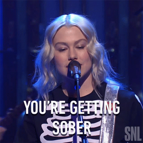 Youre Getting Sober Phoebe Bridgers GIF