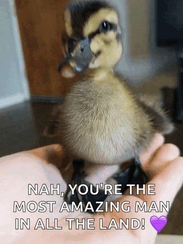 Youre The Amazing Man GIF