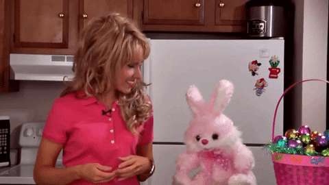Youtuber Amy Lynns Kitchen With Easter Bunny Toy GIF