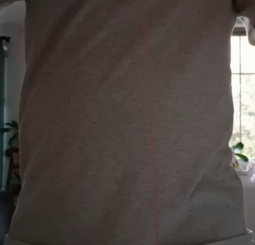 Yoyo 498 X 480 Gif GIF