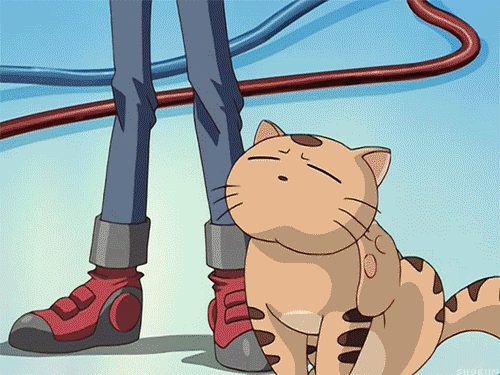 Yugioh Jaden I Love You GIF