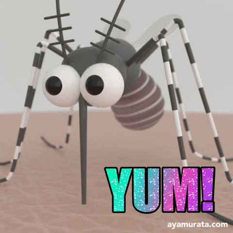 Yum Mosquito GIF