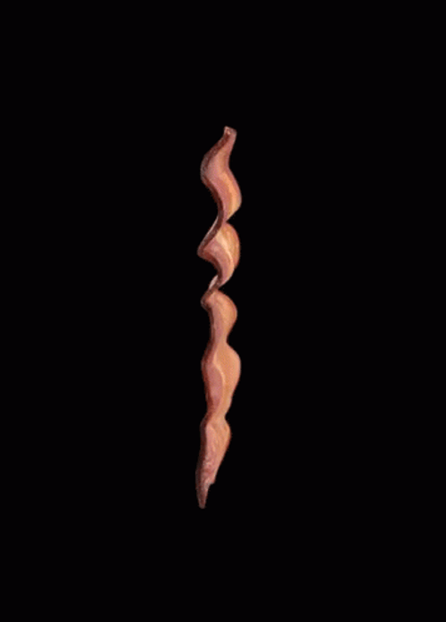 Yummy Bacon Rolling GIF
