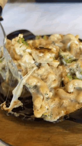 Yummy White Sauce Penne Pasta Dish GIF