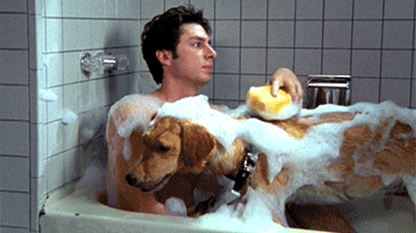 Zach Braff With Pet Dog Bubble Bath GIF