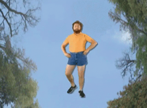 Zach Galifianakis Flying Away Meme GIF