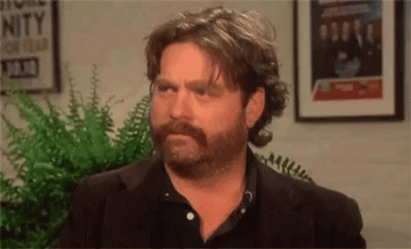 Zach Galifianakis Intense Stare GIF